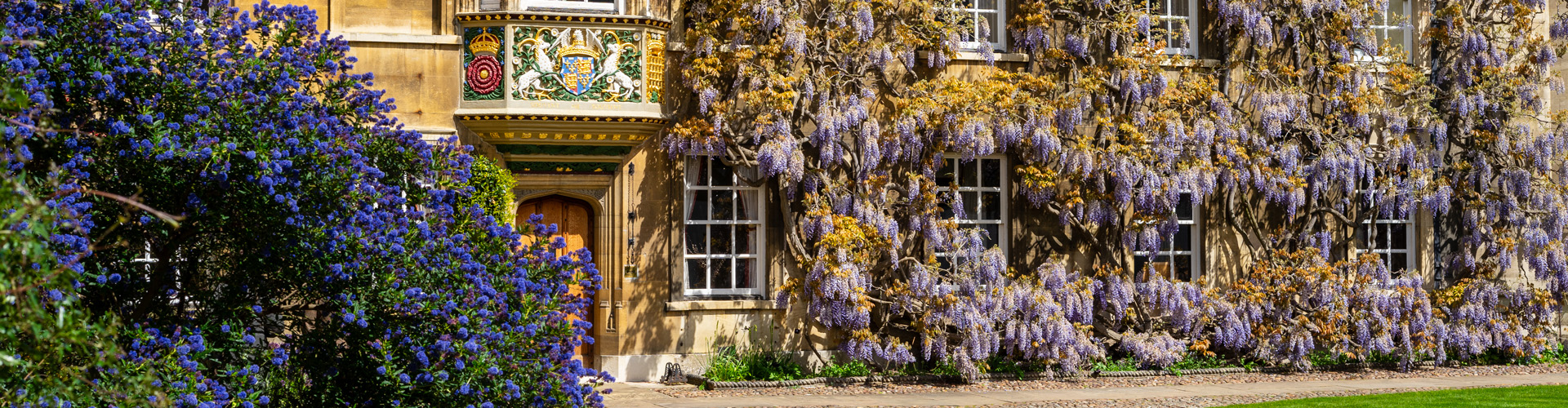 Master's Lodge with wisteria and ceanothus in foreground