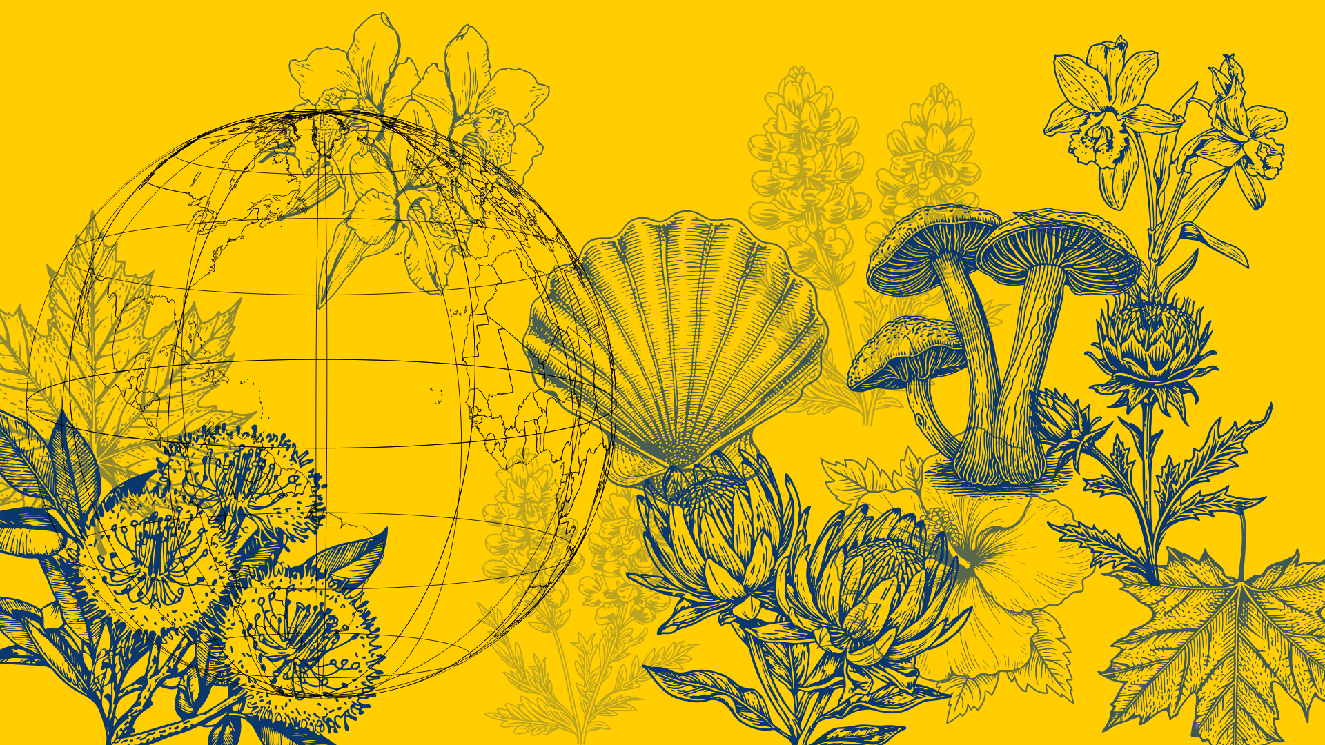 Assorted nature illustrations on a yellow background