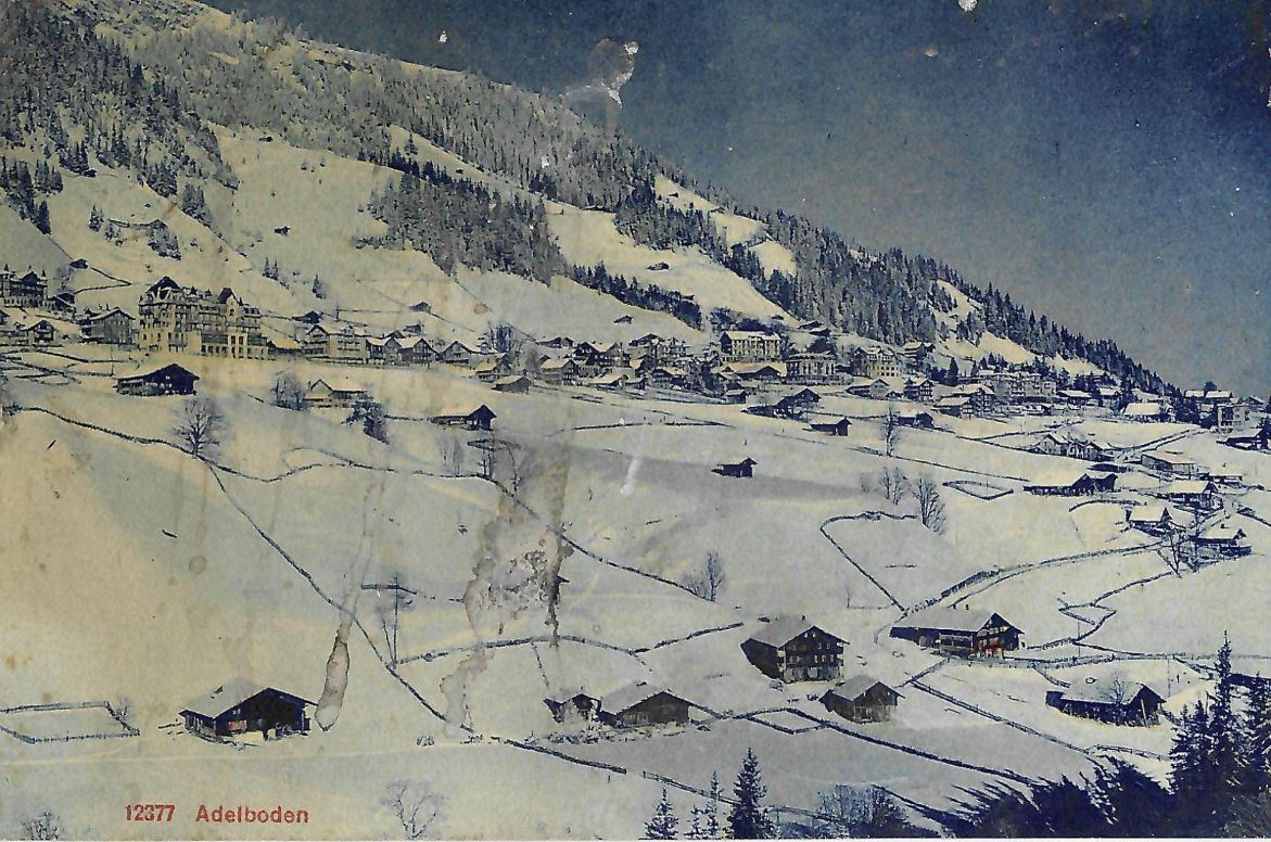 postcard of mountains with trees