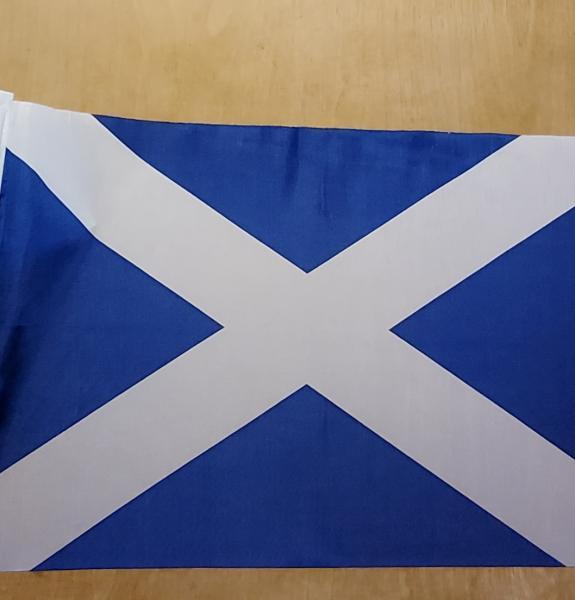 Scotland flag with science book