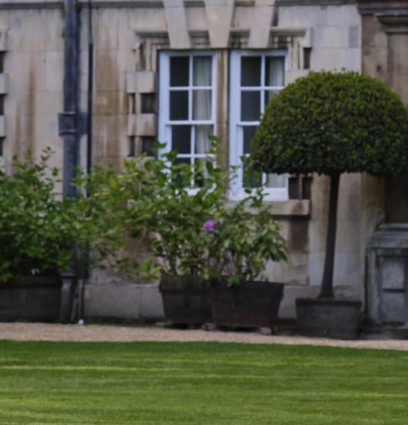 Garden and Fellows' Building